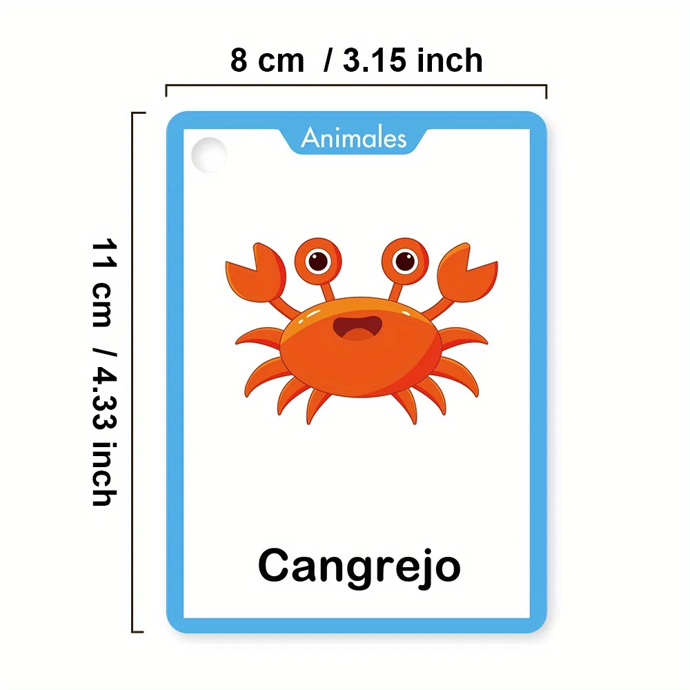 Spanish Vocabulary Learning Fl - Sight Word Game ulasan dan harga