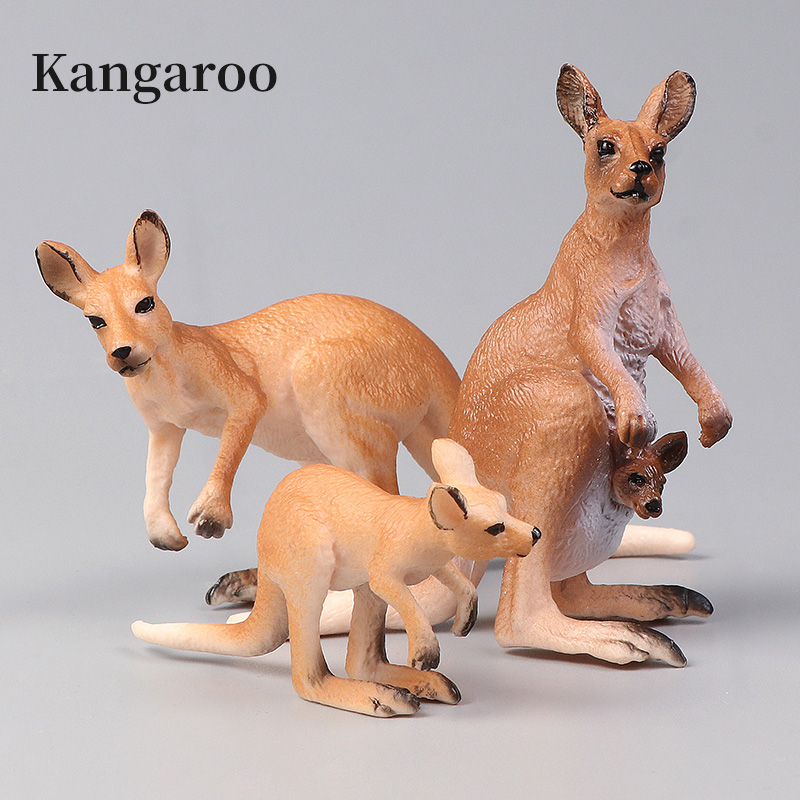 New Wildlife World Kangaroo Se - Kangaroo Kids Education ulasan dan harga